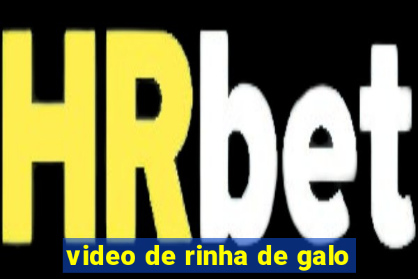 video de rinha de galo